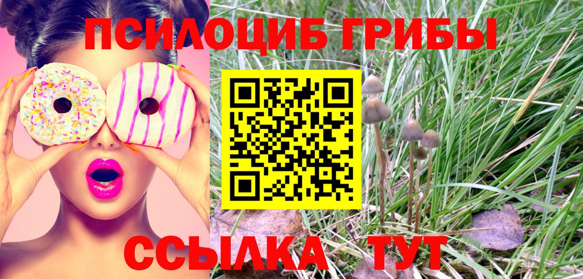 Галлюциногенные грибы прущие грибы Советск