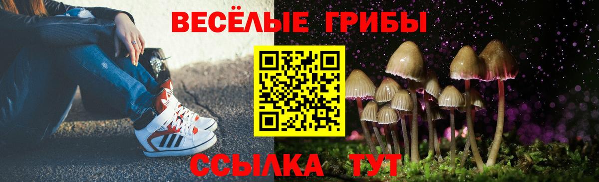 Советск  Псилоцибиновые грибы GOLDEN TEACHER  Вход с VPN 