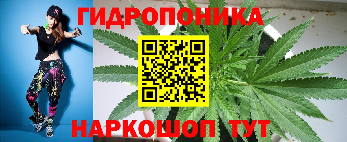 МАРИХУАНА план Советск